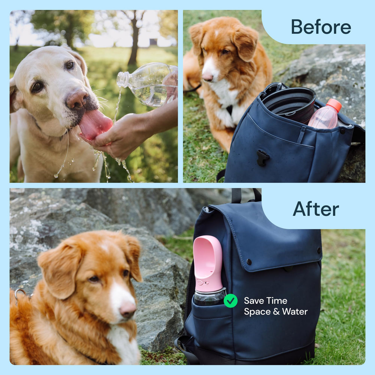 MalsiPree Dog Water Bottle Dispenser - 12 oz Black, Leak-Proof 12oz - Standard
