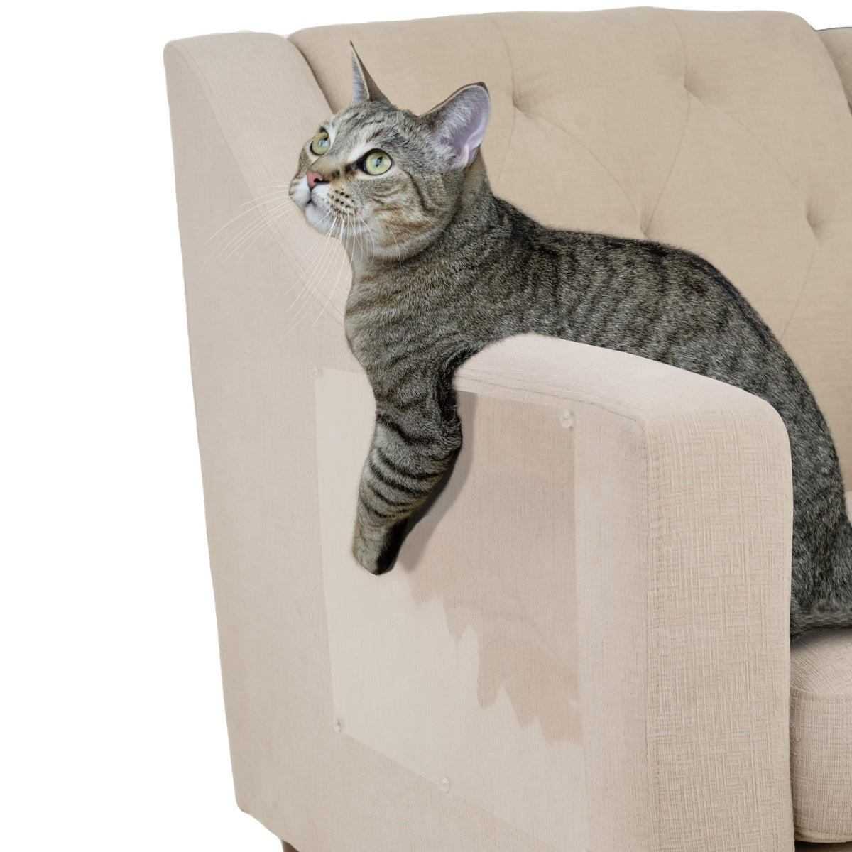 Kitty City Cat Scratcher– 2-Pack Durable Corrugated Cardboard Scratch Pads...