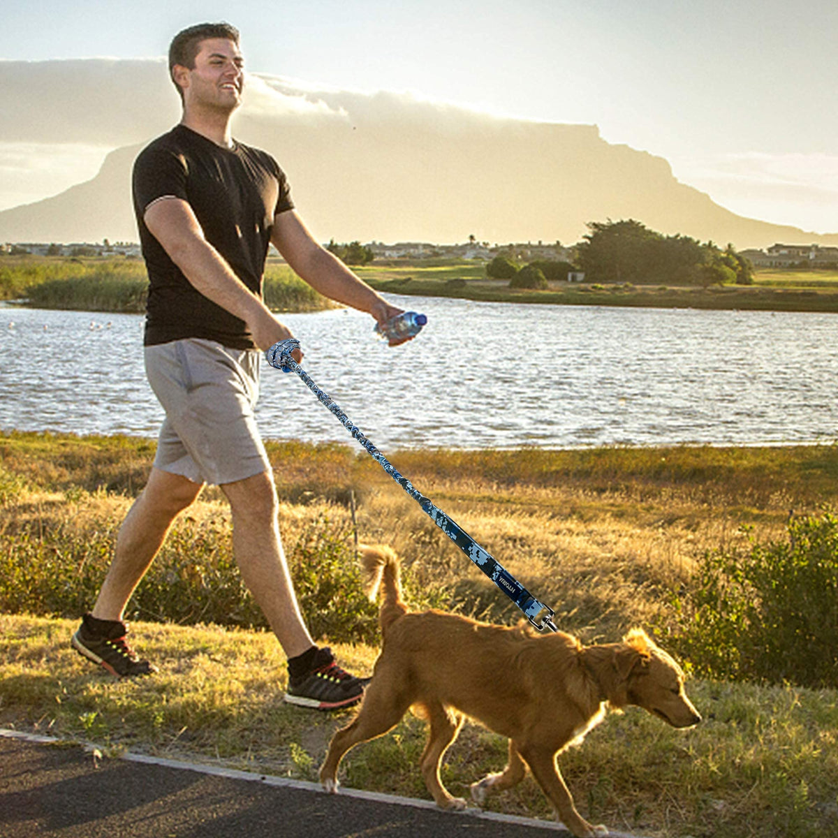 AUROTH Bungee Dog Leash for Large Dogs, No Pull for Shock Absorption Army Yellow MAX: 4.5 FT