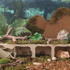 Wooden Hamster Hideout House, Small‑Pet Habitat Tunnel, Living Room