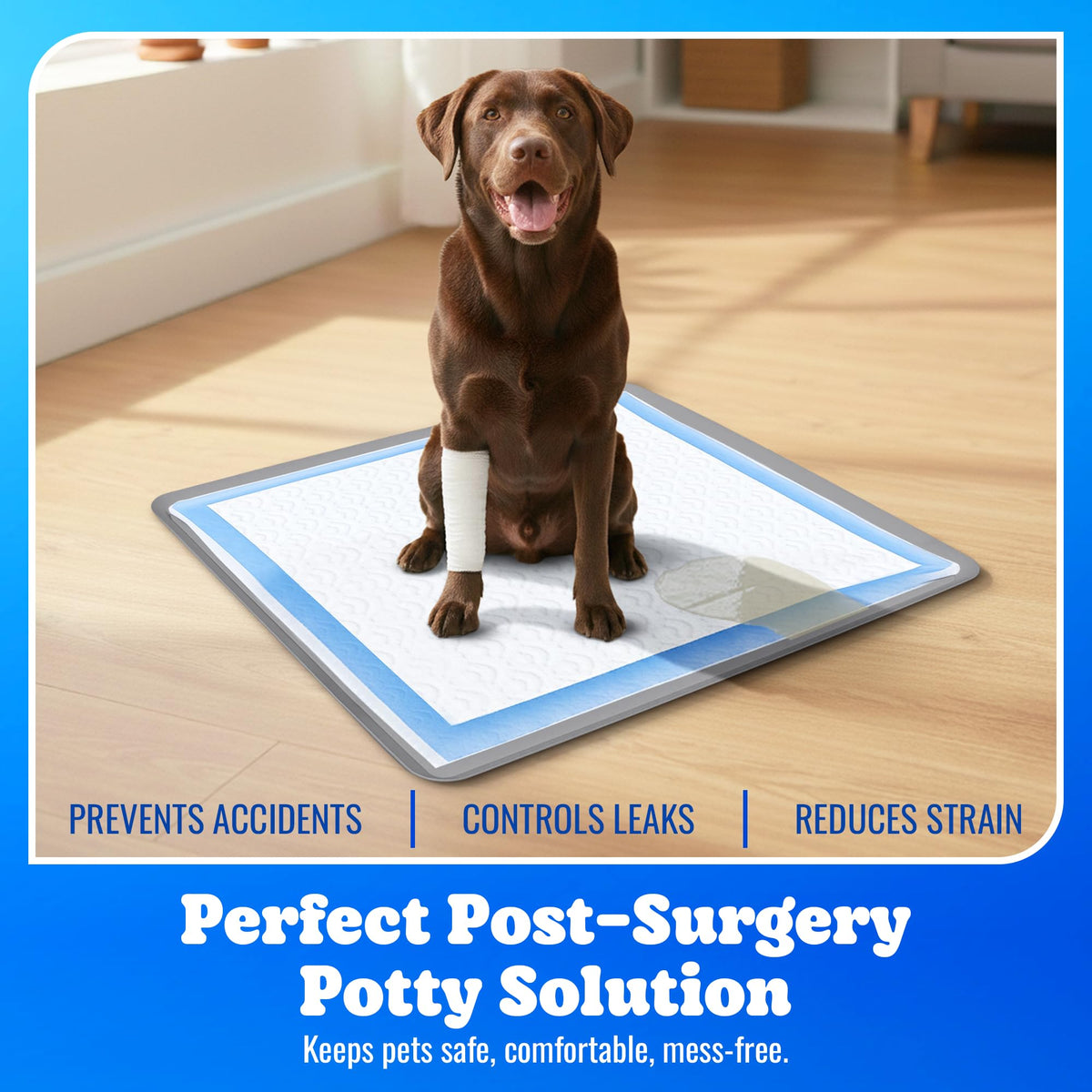 Dog Pee Pad Holder for Floor Protection and Training