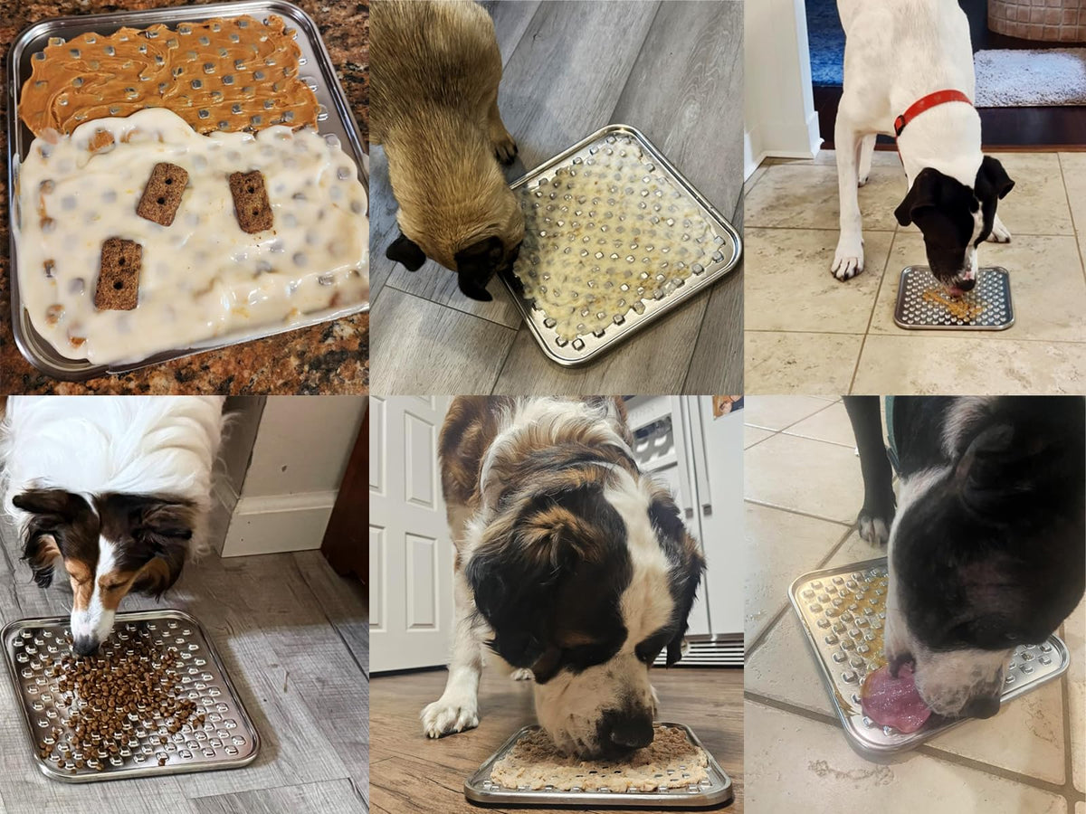 Lick Mat for Dogs & Cats, Double-Wall Stainless Steel, Large-1Pack