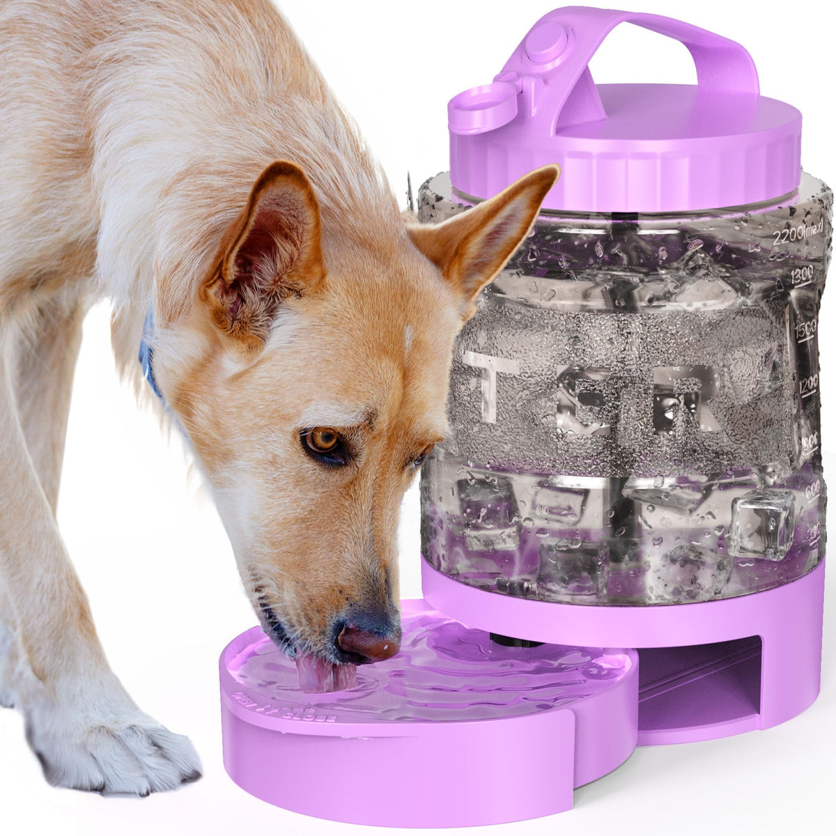 Large Portable Dog Water Bottle with Pull-Out Drinking Bowl