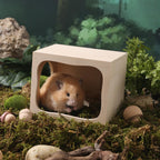 Wooden Hamster Hideout House, Small‑Pet Habitat Tunnel, Living Room