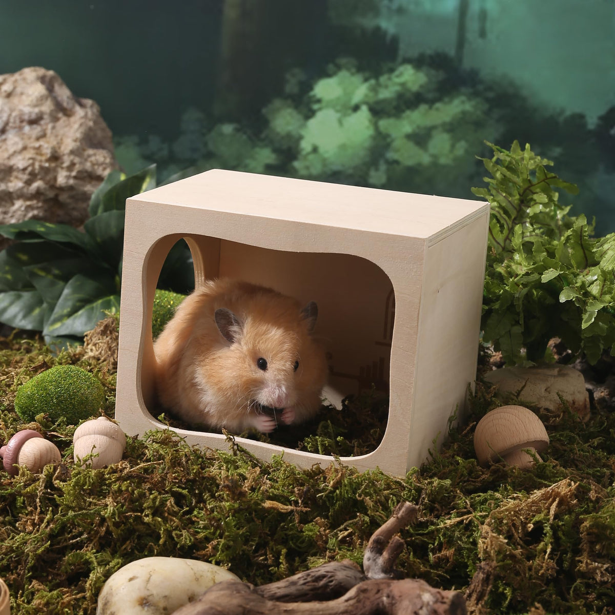 Wooden Hamster Hideout House, Small‑Pet Habitat Tunnel, Living Room