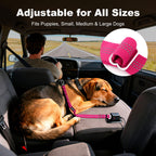 Dog Seat Belt for Car, Car Harness with Locking Aluminum Hook Purple