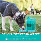 Large Portable Dog Water Bottle with Pull-Out Drinking Bowl