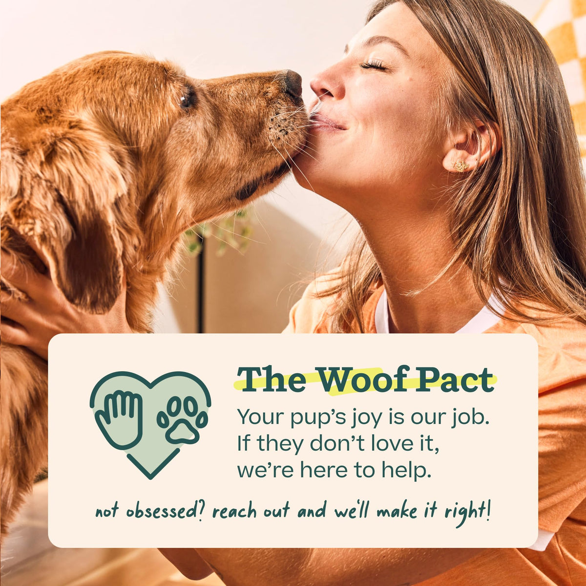 WOOF Starter Pack Dog Treat Toy for Large Dogs 25-75 lbs Large Starter Pack - Chicken