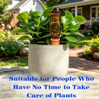 Self Watering Globes for Plant, 10pcs Auto Watering Bulb for Indoor Outdoor A. Blue-6L4S
