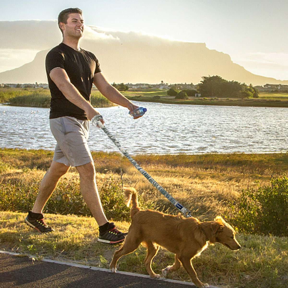 AUROTH Bungee Dog Leash for Large Dogs, No Pull for Shock Absorption Army Yellow MAX: 4.5 FT