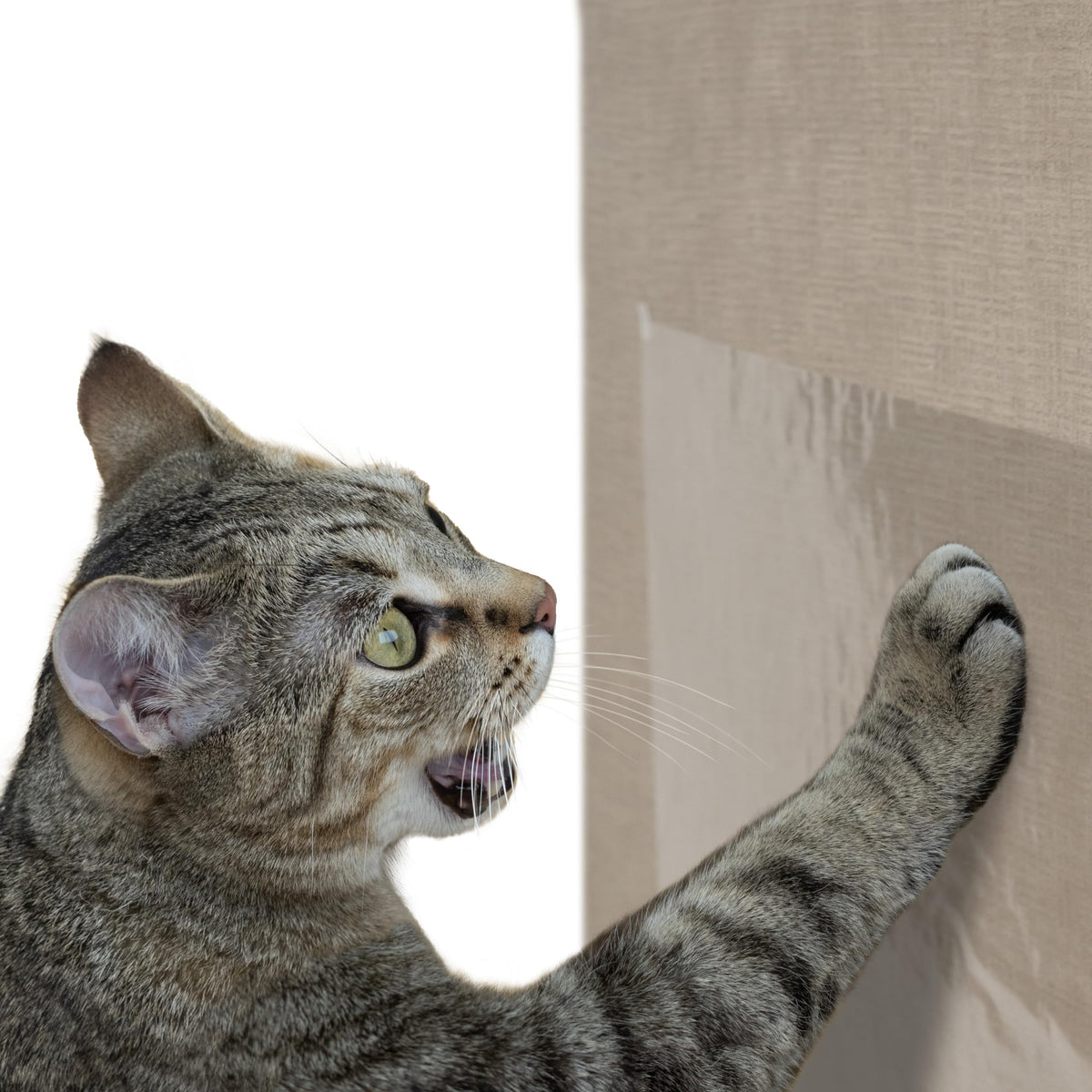 Kitty City Cat Scratcher– 2-Pack Durable Corrugated Cardboard Scratch Pads...