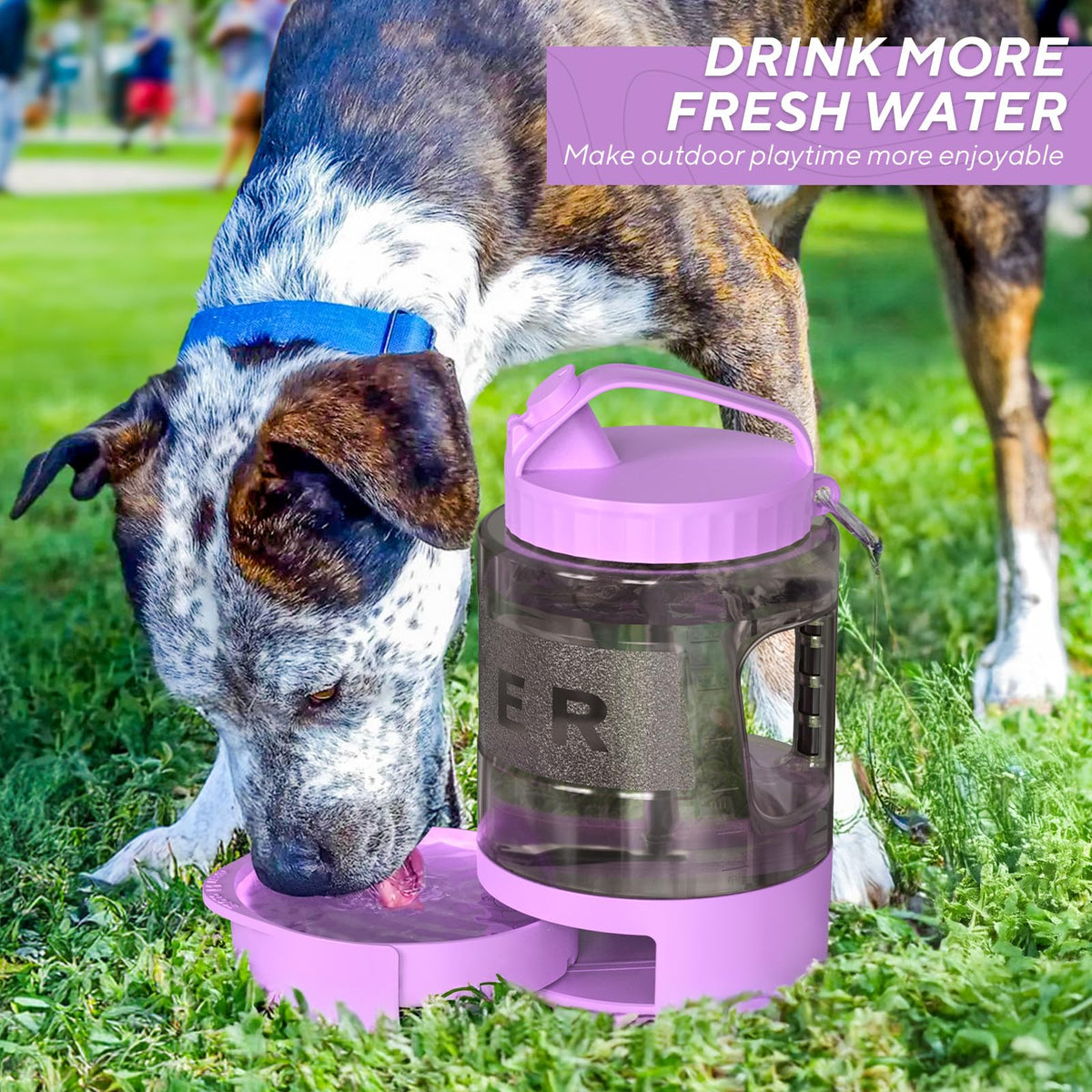 Large Portable Dog Water Bottle with Pull-Out Drinking Bowl