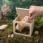 Wooden Hamster Hideout House, Small‑Pet Habitat Tunnel, Living Room